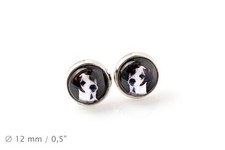 Jack Russel. Animaux Domestiques En Votre Ohr. Ohrringe. Foto-Schmuck
