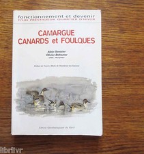 Ornithologie Camargue CANARDS