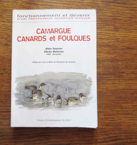 Ornithologie camargue canards - ornithologie,