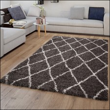 Tapis poils longs style - tapis,