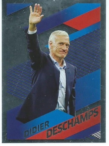 Carte panini carrefour coupe - carrefour,