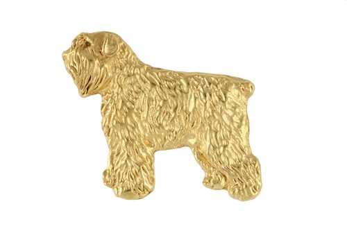 Chien traîneau flamand - chien,