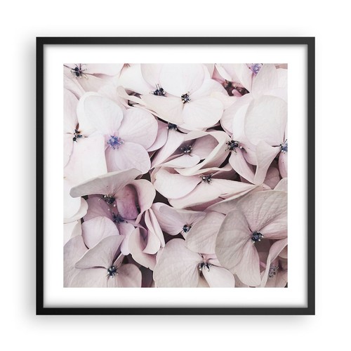 Affiche poster 50x50cm - poster,