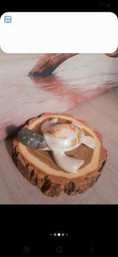 Tortue marbre albatre - marbre, et