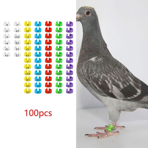 Lot 100 bagues pour - bagues, pattes