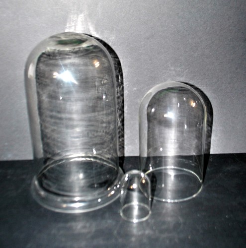Lot globes verre cabinet - 3,