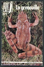 Btj magazine bibliothèque - btj, de