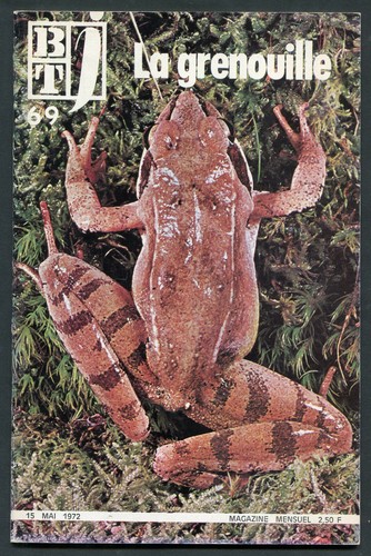 Btj magazine bibliothèque - btj,