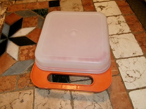 Tupperware vintage lunch box - lunch,