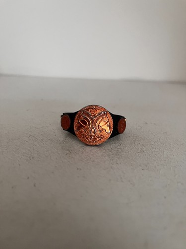Wwe bronze undisputed equipe - 1,