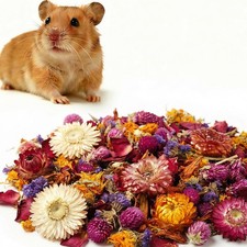 Natural & Soft Hamster Bedding
