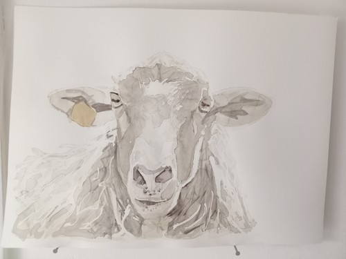 Brebis aquarelle originale - brebis,