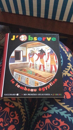 Observe tombeau égyptien - le,
