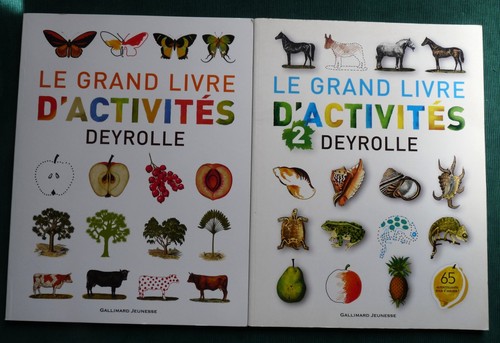 Grand livre activités - grand, d'activités