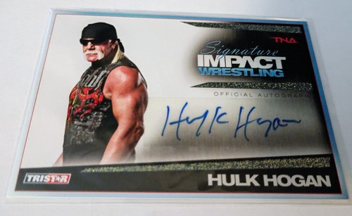 Tna hulk hogan 2011 - hogan,