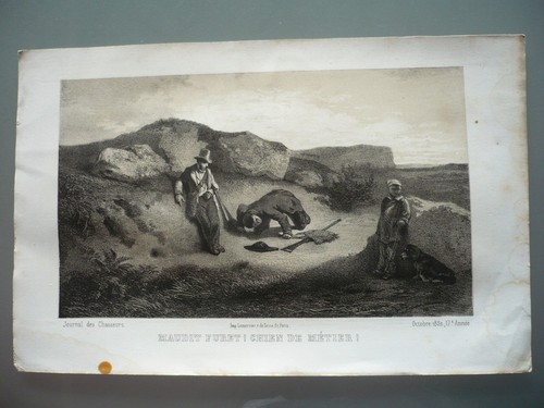 Gravure originale 1852 - originale, chasse