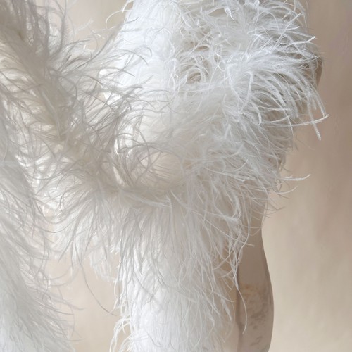 Boa En Plumes DAutruche 7