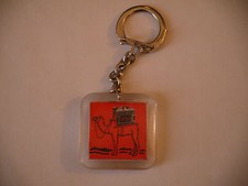 PORTE CLÉ BATTERIE TECNA