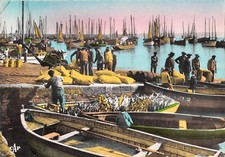 DEP 29 DOUARNENEZ CANOT CHARGE DE THONS