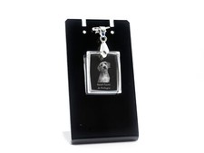 Basset Fauve de Bretagne -