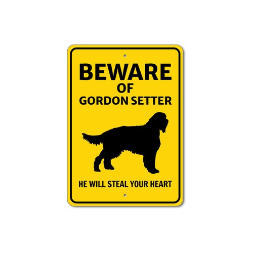 Gordon setter dog beware - setter, he