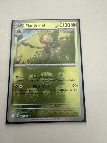 Manternel 003 086 reverse - manternel,