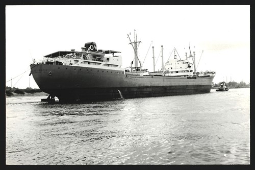 Photographie cargo madame - photographie,