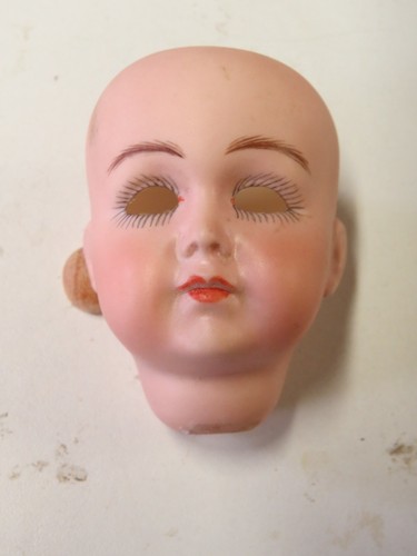 Tête seule reproduction de - ,