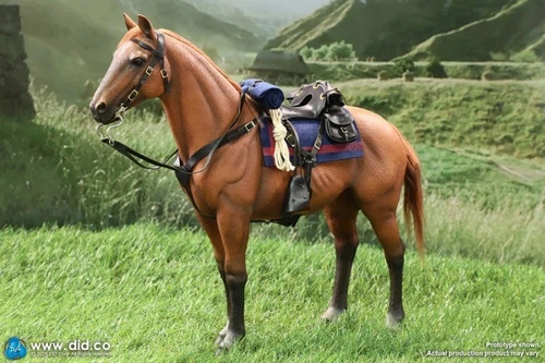 Did corp e60082 brown - e60082, brown-red