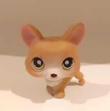 Littlest PetShop CORGI VIOLET