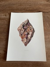 gravure minéraux N158