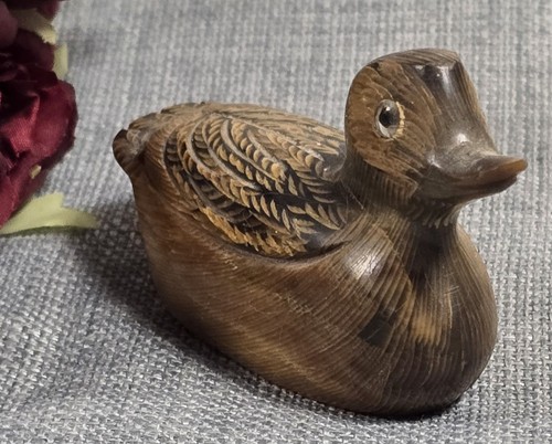 Joli petit canard bois - petit, en