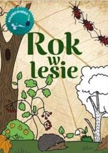 Rok lesie kolorowanka - lesie,