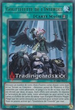 Yu-Gi-Oh! Gouttelette de l'Interdit : UR BLMM-FR171