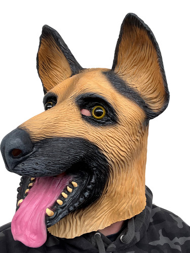 Allemand berger alsacien - alsacien, chien