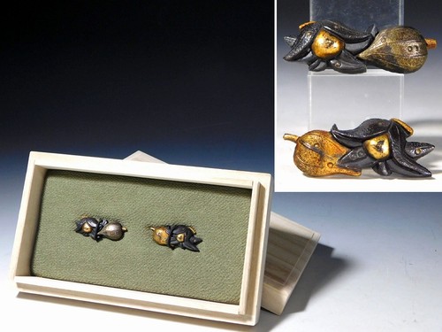 Hozuki physalis design kinko - hozuki,