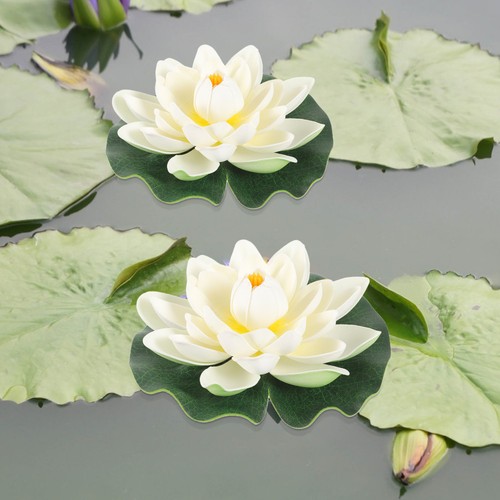 Plantes aquatiques fleurs - plantes,