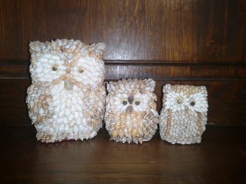 Hiboux coquillages - 3,