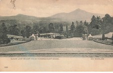 MIKII-221 IRLANDE WICKLOW +