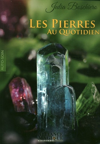 Livre les pierres - , quotidien