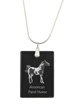 Paint horse américain collier - paint,