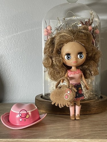 Blythe b17 désert fun - 🌺blythe,
