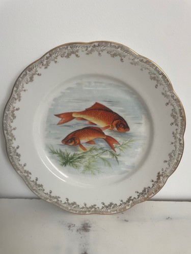 Assiette déco poisson rare - déco,
