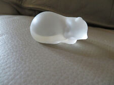 chat en crista givrè