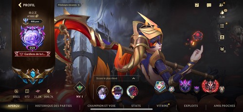Compte wild rift euw - compte,