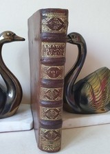 LES REMEDES DES MALADIES DU