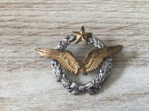 Brevet aviation - brevet,