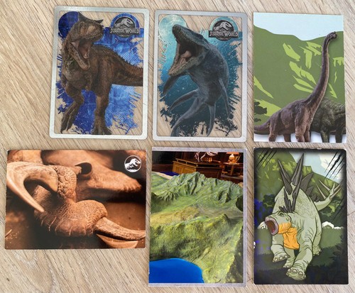 Lot cartes panini - lot,