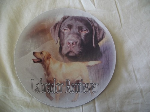 Tapis souris chien - tapis,