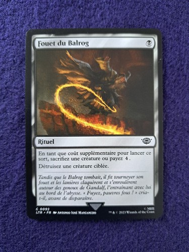 Mtg magic carte fouet du - mtg,